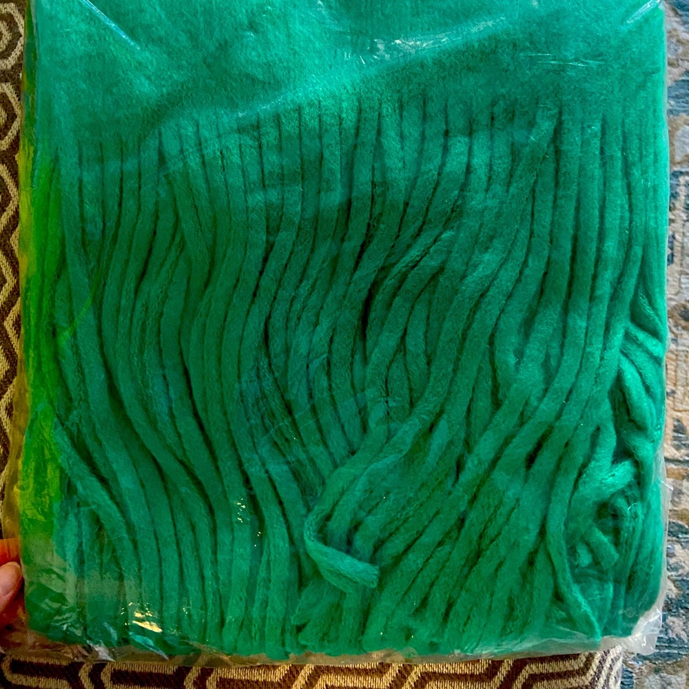 NWT green fringe scarf